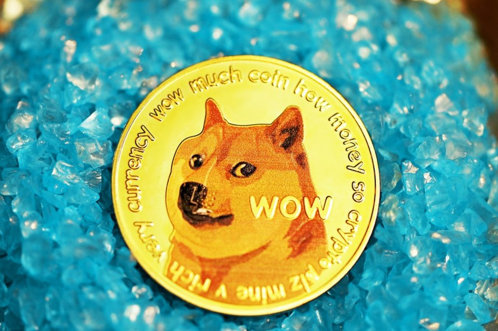 Should You Buy Dogecoin in 2022