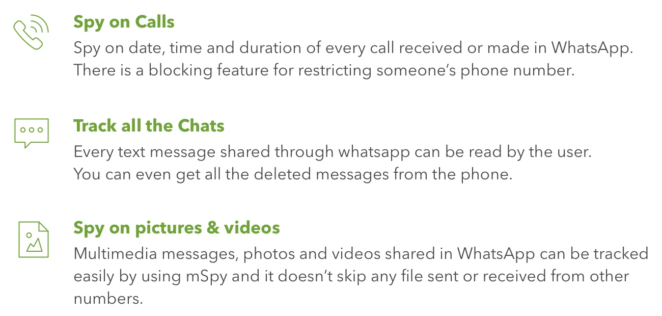 WhatsApp spy module features in mSpy